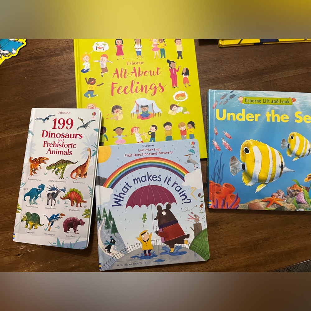Usborne Book bundle